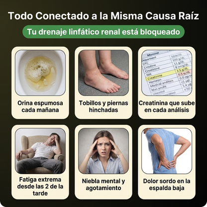 Nueva fórmula de máxima potencia: cápsulas de drenaje linfático de Sculptique™.